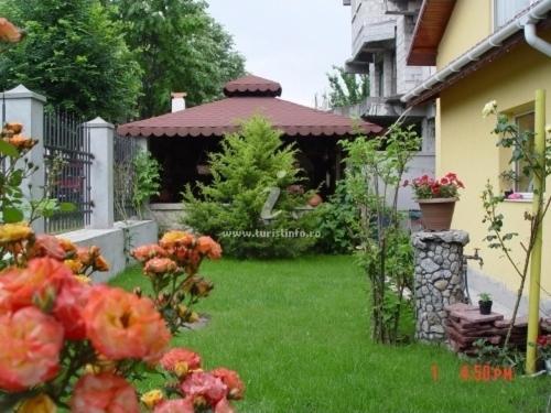 Casa Alessia Apartment เอโฟรีเอซูด ภายนอก รูปภาพ